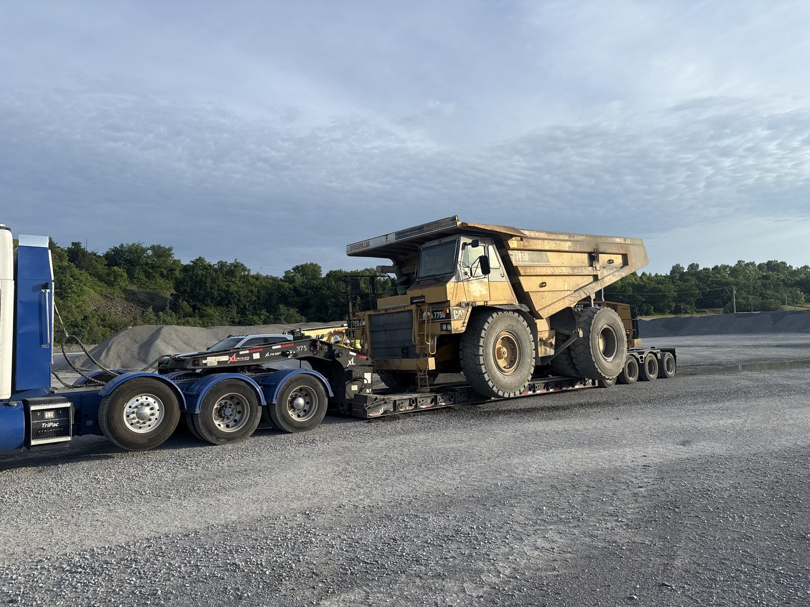 Ace Transports fleet photo 7