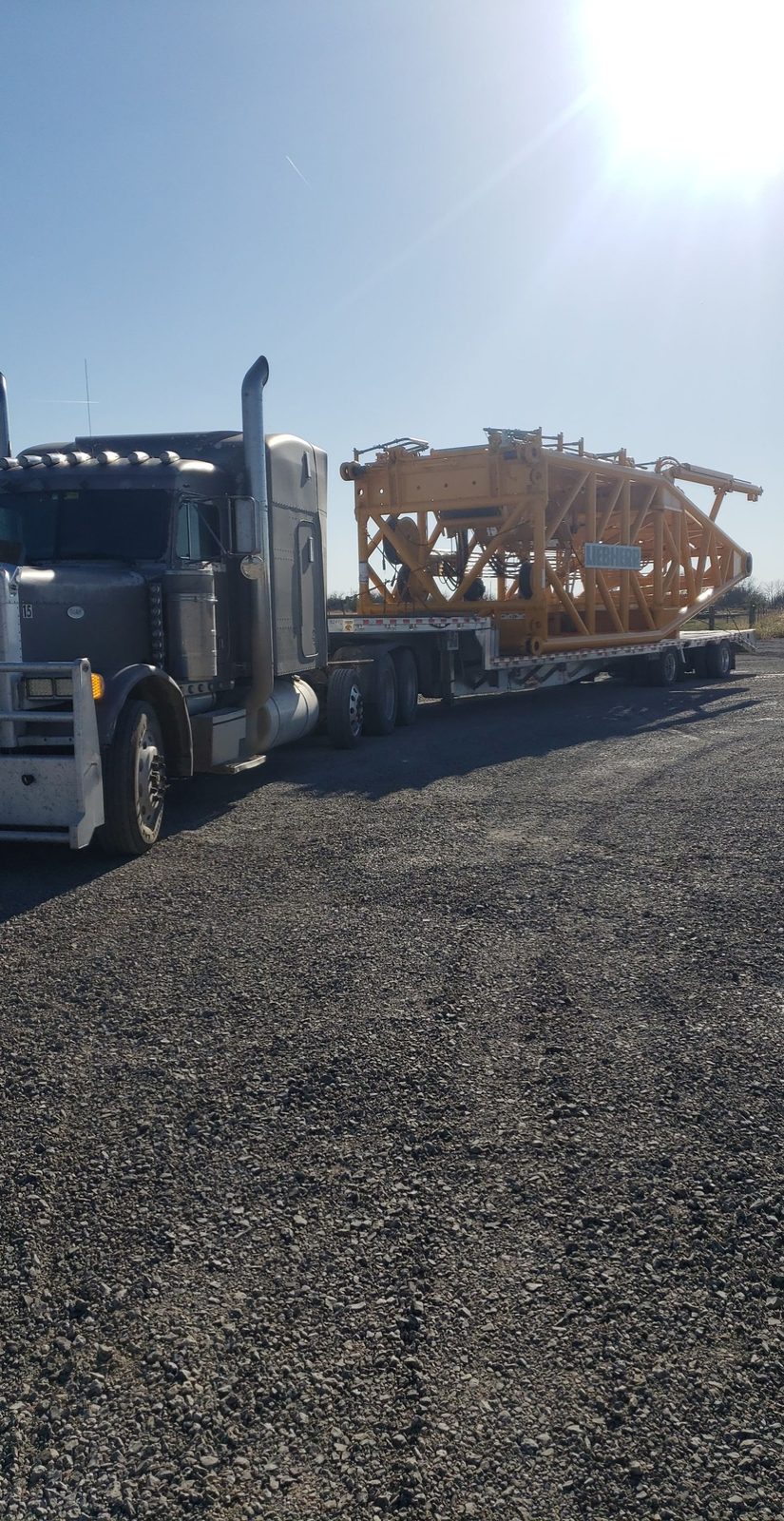 Ace Transports fleet photo 15
