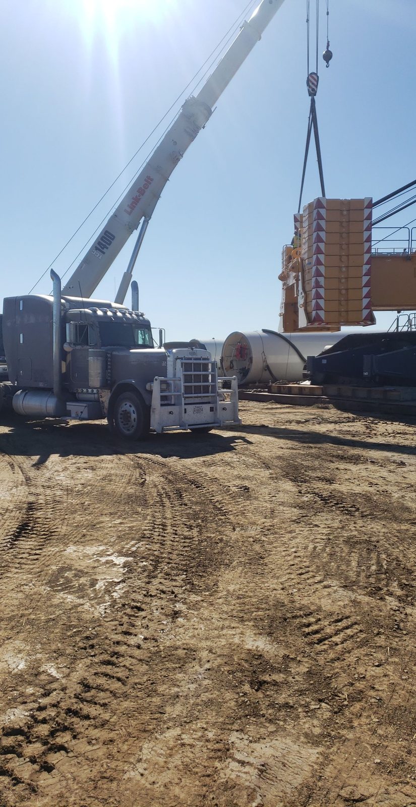 Ace Transports fleet photo 16