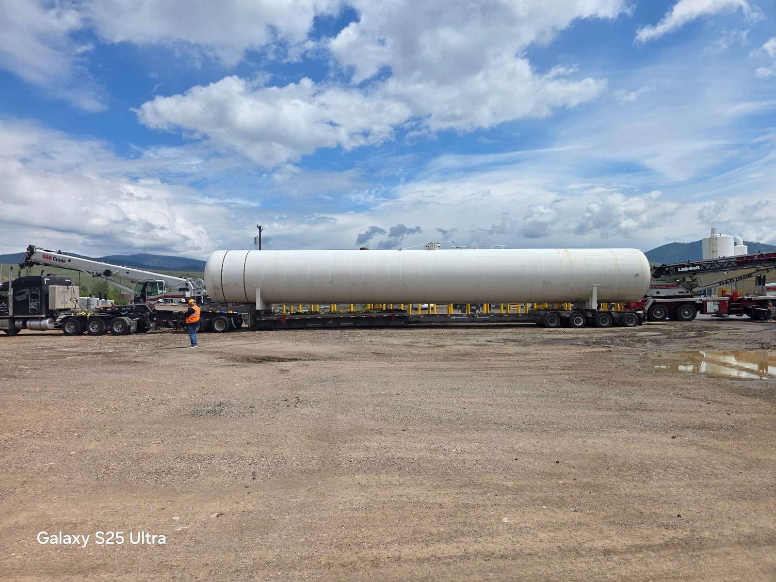 Ace Transports fleet photo 19