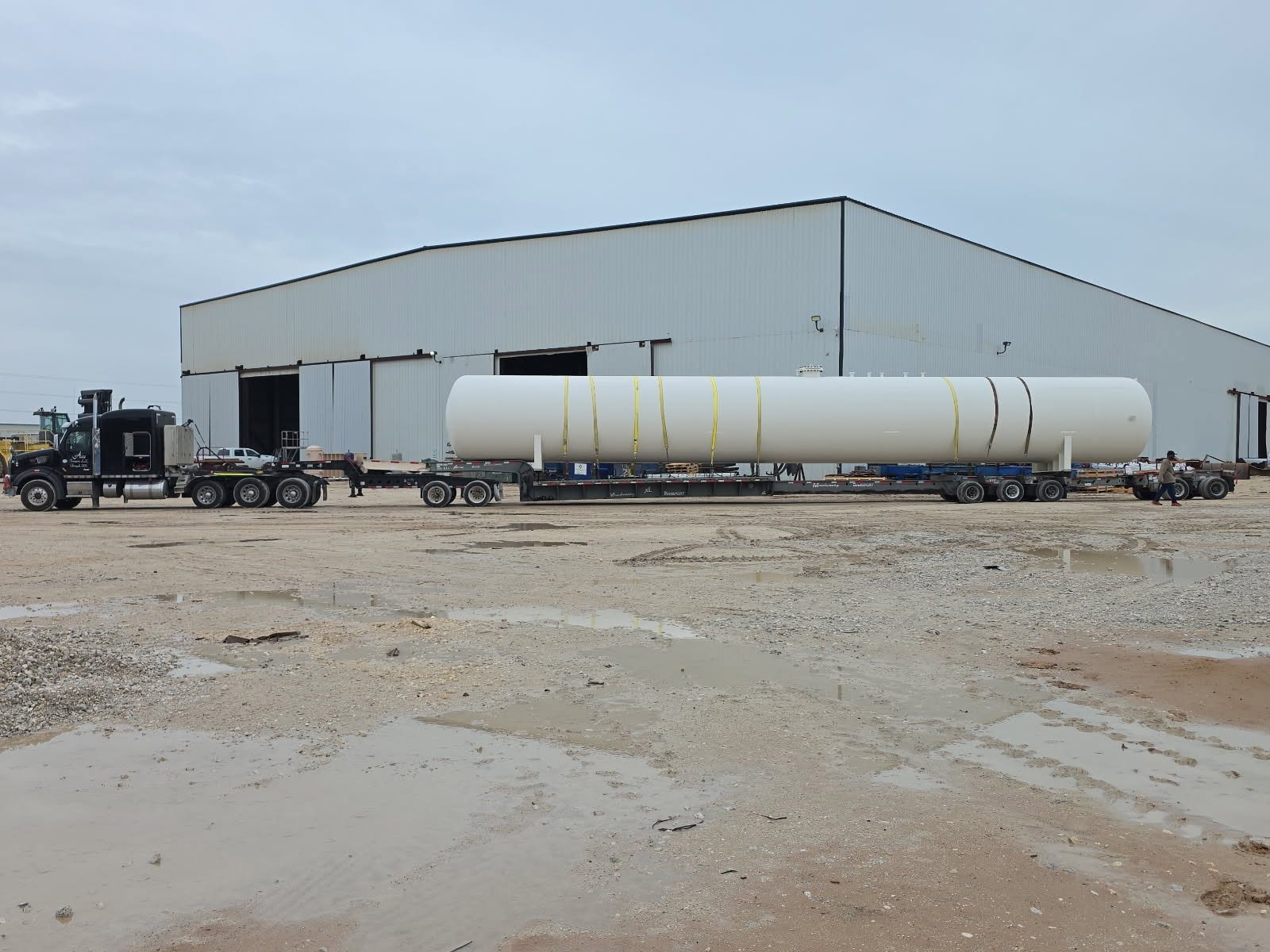 Ace Transports fleet photo 54